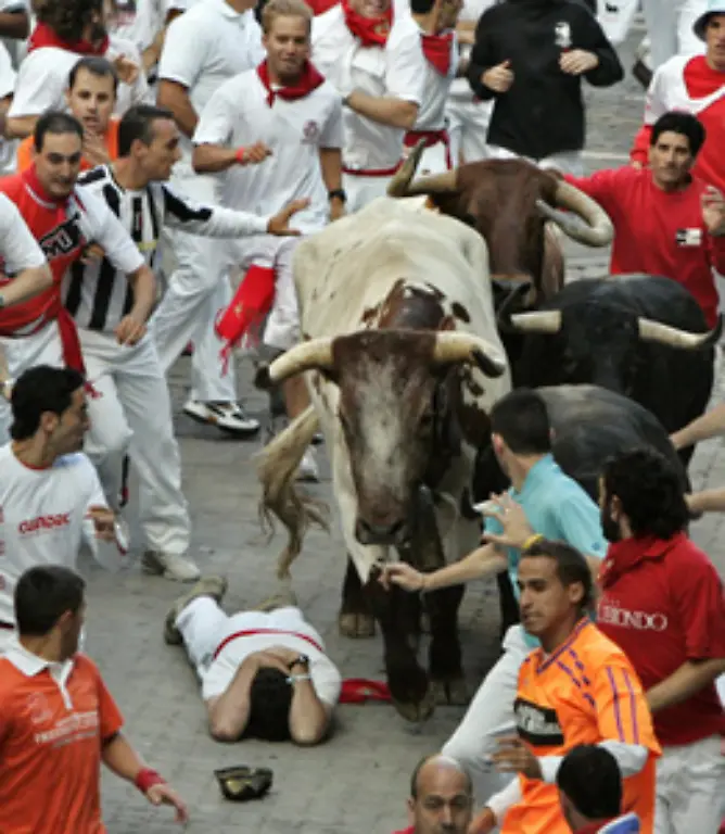 Sie-wissen-nicht-was-sie-tun-sollen-wenn-es-brenzlig-wird-Die-Profis-werfen-sich-auf-den-Boden-verschraenken-die-Arme-ueber-dem-Kopf-und-bleiben-regungslos-liegen-bis-die-Bullen-vorbeigerannt-sind