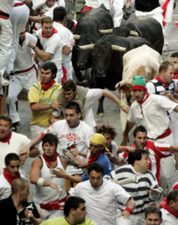 Nicht-selten-gehen-sie-nach-einer-durchzechten-Nacht-auf-die-Strecke-versuchen-die-Stiere-zu-reiten-oder-sie-am-Schwanz-zu-packen