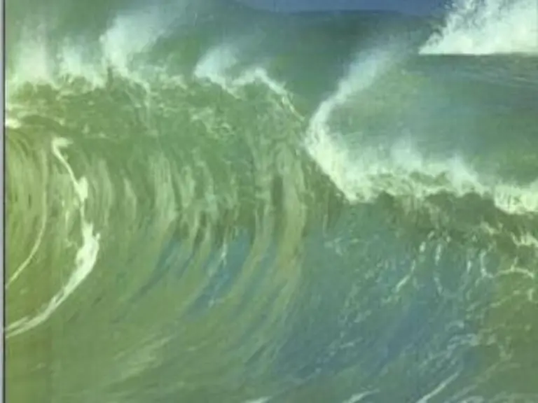 Schoen-anzusehen-aber-toedlich