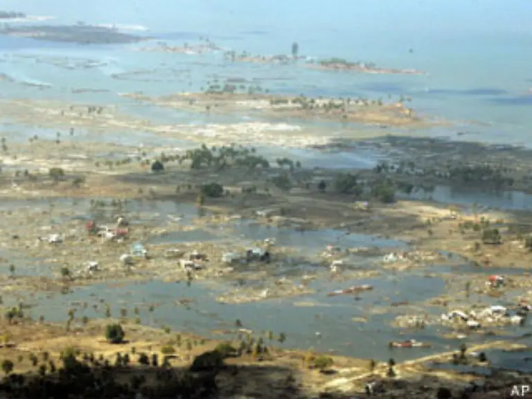 Das-Erdbeben-das-den-Tsunami-ausloeste-hatte-eine-Staerke-von-9-0-auf-der-Richterskala