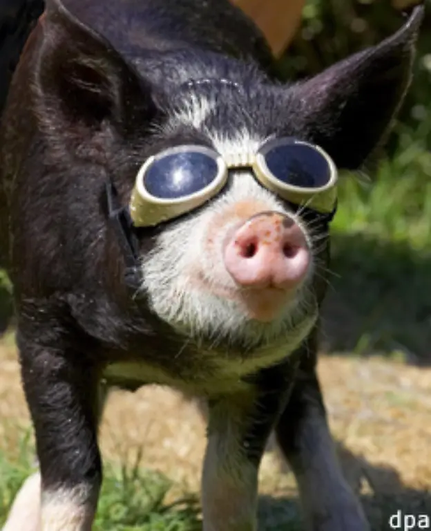 Da-hilft-nur-eins-Immer-schoen-cool-bleiben