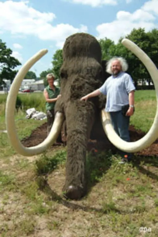 Manchem-Promi-ist-die-Vergangenheit-heute-peinlich-Mit-dem-Mammut-Verleih-waere-das-nicht-passiert