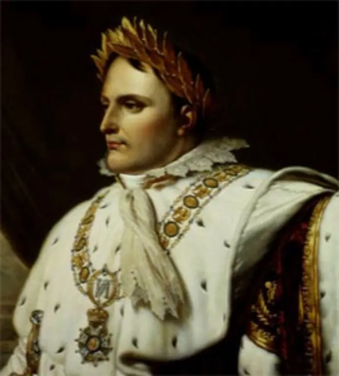 Es-war-Napoleon-der-dem-Reich-1806-mit-seinem-anti-oesterreichischen-Rheinbund-dem-viele-deutsche-Mittelstaaten-angehoerten-endgueltig-den-Todesstoss-versetzte-Auch-hier-kam-wieder-Karl-der-Grosse-ins-Gespraech-Wie-die-deutschen-Kaiser-sah-Napoleon-sich