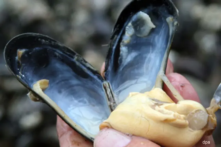 Andere-sind-nicht-unbedingt-ein-Hingucker-dafuer-aber