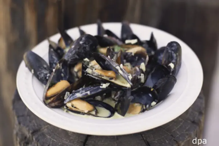 Die-Miesmuschel-Zucht-ist-an-den-Kuesten-ein-bedeutender-Wirtschaftszweig