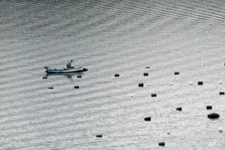 Laengst-gibt-es-nur-noch-wenige-Wildbaenke-Muscheln-werden-heute-gezielt-in-Muschel-Kulturbezirken-gezuechtet-Dazu-werden-Jungmuscheln-gefangen-und-an-seichten-Stellen-wieder-ausgesetzt