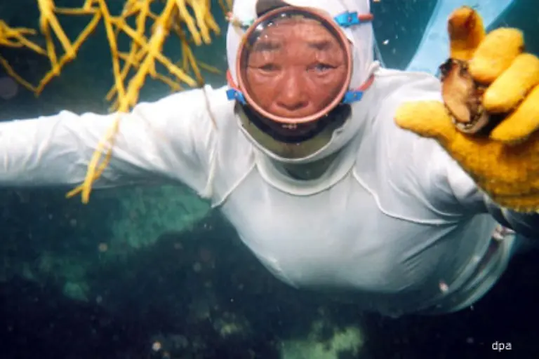 Kleiner-Abstecher-nach-Japan-Dort-gibt-es-bis-heute-Muschel-Taucherinnen-die-die-beliebte-Delikatesse-noch-per-Hand-sammeln