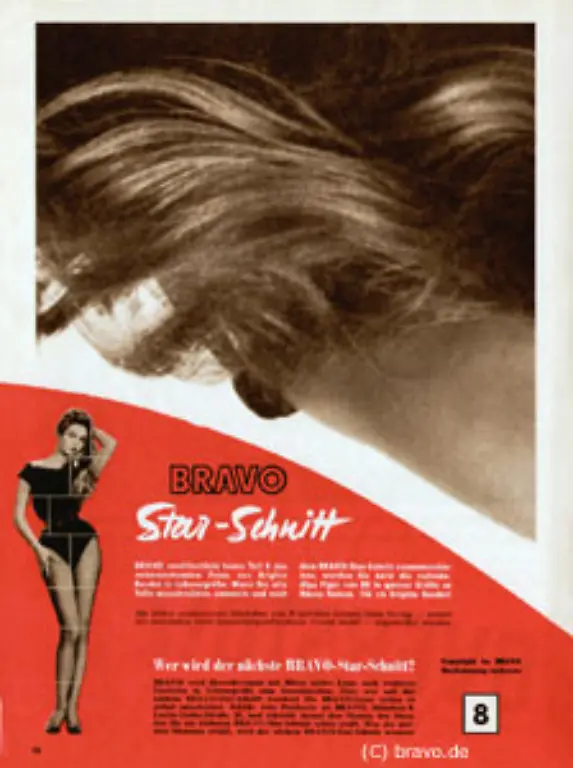 Aus-diesem-Ausschnitt-wird-was-wenn-man-ganz-viele-davon-sammelt-und-dann-zusammenklebt-Genau-das-ist-ein-Teil-des-Starschnitts-von-Brigitte-Bardot-Oh-la-la-heisse-Sache-das