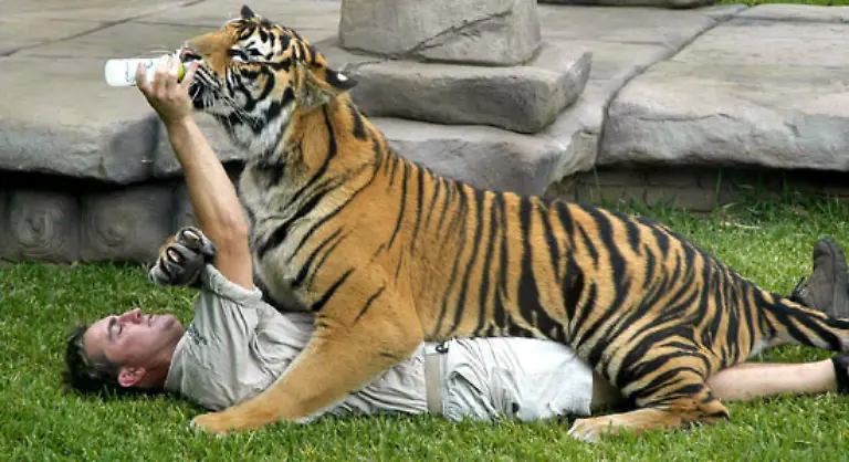 Der-durch-zahlreiche-Fernsehauftritte-bekannte-australische-Zoologe-Steve-Irwin-ist-tot