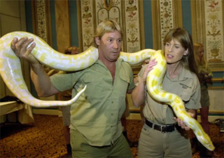 Mit-den-Dreharbeiten-so-nahe-an-Stachelrochen-habe-sich-Irwin-in-hoechste-Gefahr-begeben-sagte-nun-der-australische-Naturfilmer-David-Ireland