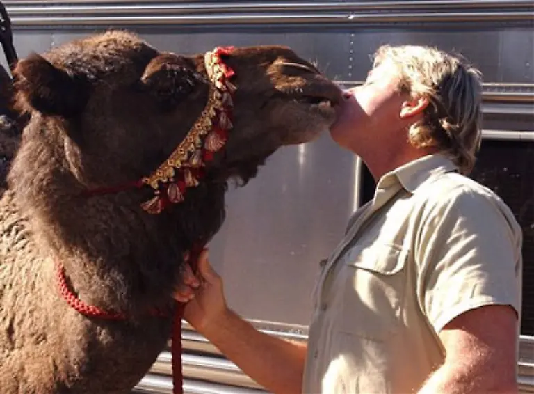 In-Australien-zeigte-man-sich-bestuerzt-ueber-den-Tod-des-Zoologen