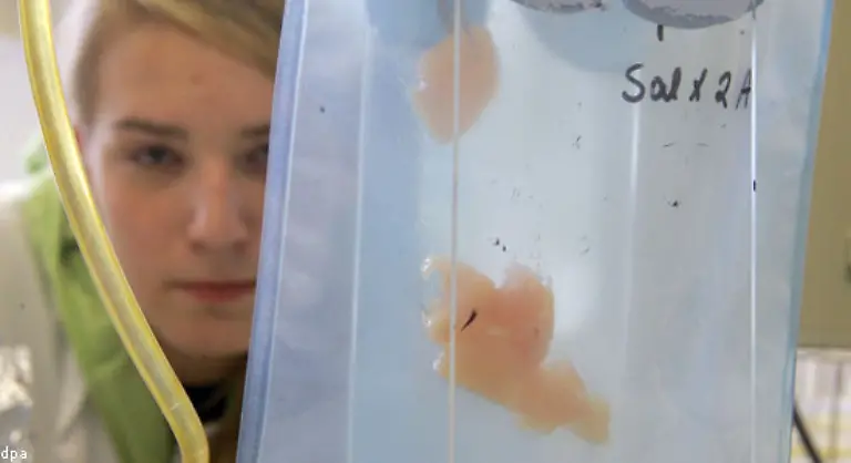 Seit-den-80er-Jahren-haeufen-sich-die-tatsaechlichen-und-vermeintlichen-Skandale-auch-weil-die-Kontrollen-genauer-wurden