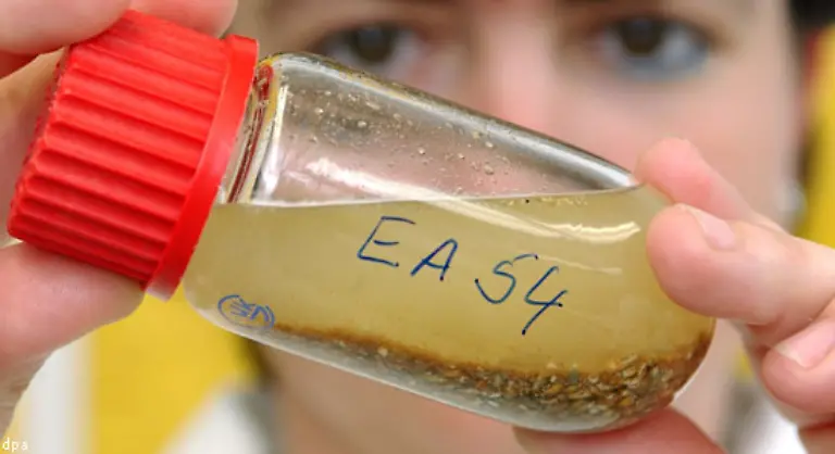 Der-Nitrofen-Skandal-bringt-einen-Rueckschlag-2002-wird-das-Unkrautvernichtungsmittel-in-Bio-Lebensmitteln-gefunden-Es-kommt-aus-Futtermitteln-bei-denen-die-Belastung-bis-zu-200-000fach-ueber-dem-Grenzwert-liegt