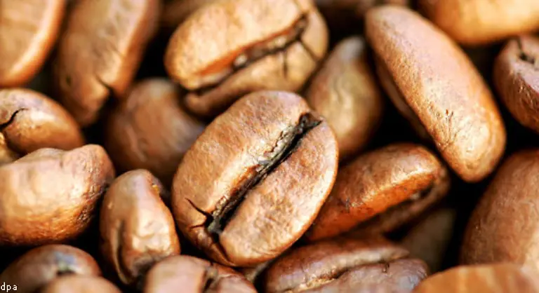 Acrylamid-ist-ein-Beispiel-dafuer-wie-Politiker-und-Industrie-mit-einem-Risikostoff-umgehen-meint-Foodwatch-Das-Prinzip-des-vorsorgenden-Verbraucherschutzes-wird-wirtschaftlichen-Interessen-geopfert