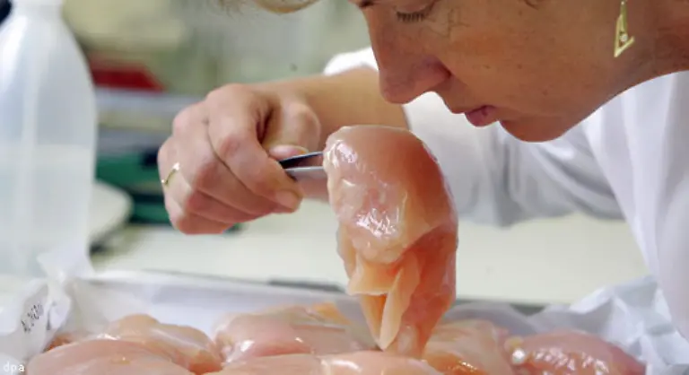 Jetzt-fordert-Schnappauf-haertere-Strafen-Seehofer-fordert-die-Zustaendigkeit-fuer-Lebensmittelkontrollen-auf-den-Bund-zu-verlagern