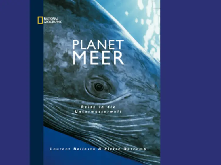 National-Geographic-Deutschland-praesentiert-in-einem-neuen-Bildband-eine-phantastische-Reise-in-die-Unterwasserwelt-der-Erde