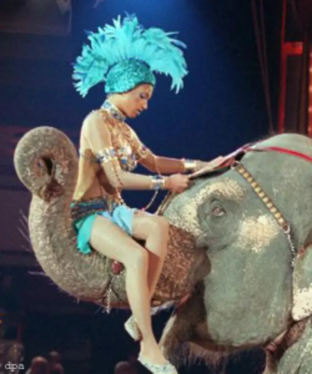 Wieder-so-ein-Pressetermin-in-skurrilen-Klamotten-wieder-hatte-Lee-den-schwarzen-Peter-erwischt-Die-Band-verzettelte-sich-vor-der-Trennung-zunehmend-mit-toerichten-PR-Auftritten-die-mit-Rap-Kultur-nichts-mehr-zu-tun-hatten-Es-fehlte-ihnen-an-Erfahrung-an-Bodenhaftung