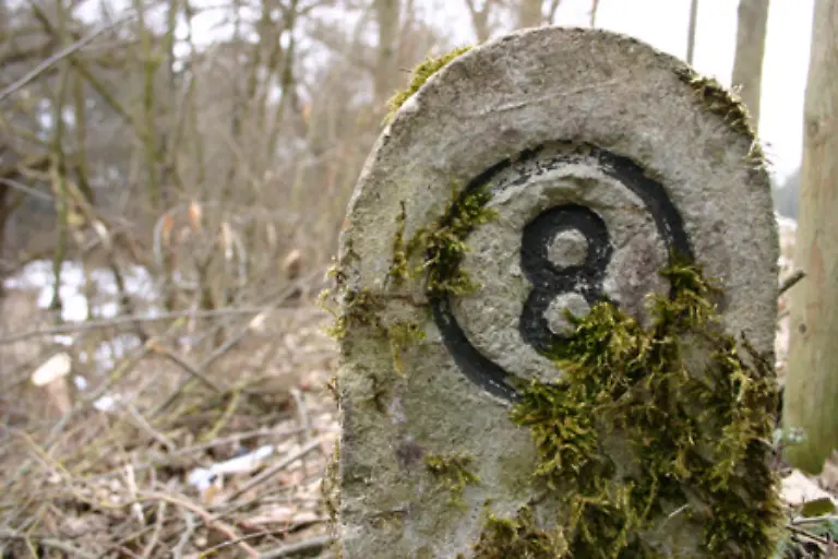 Gib-Acht-Denn-die-Chance-eine-Niete-also-Null-bis-2-Richtige-zu-haben-stehen-bei-98-1-Prozent-Auch-die-8-war-erst-am-Mittwoch-unter-den-Auserwaehlten-Samstags-wurde-sie-aber-schon-seit-einigen-Wochen-nicht-mehr-gezogen