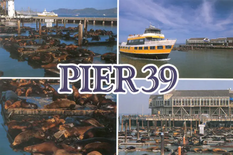 Die-39-ist-gaenzlich-unscheinbar-Sie-liegt-laut-Statistiken-im-Mittelfeld-Und-ein-Tipp-lautet-Vertraue-nie-den-Statistiken