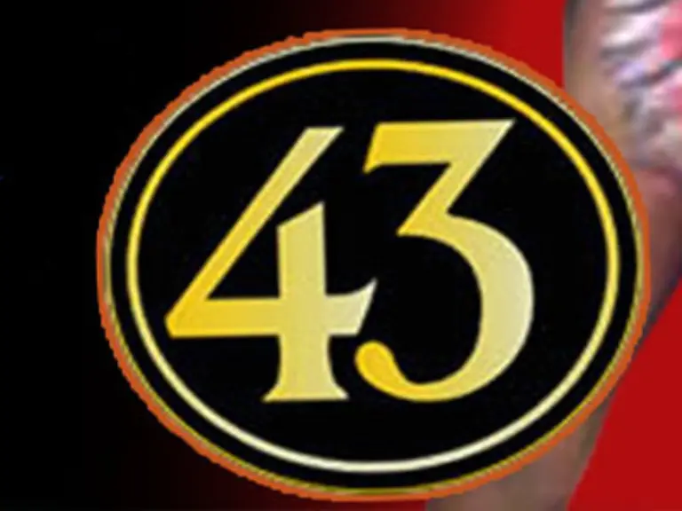 0-000007-Prozent-betraegt-die-Wahrscheinlichkeit-sechs-Richtige-zu-tippen-Das-liegt-an-der-Kombination-Dass-die-43-unter-den-Glueckszahlen-ist-ist-schon-viel-wahrscheinlicher-0-0004-Prozent