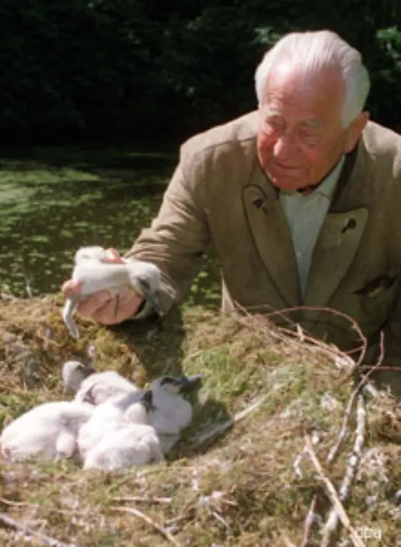 Der-1917-in-Rheydt-im-Rheinland-geborene-Verhaltensforscher-und-Biologe