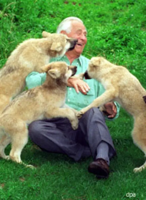 drehte-auch-mehrere-Kinofilme-Darunter-Lied-der-Wildbahn-Herrscher-des-Urwalds-und-Galapagos-Landung-in-Eden