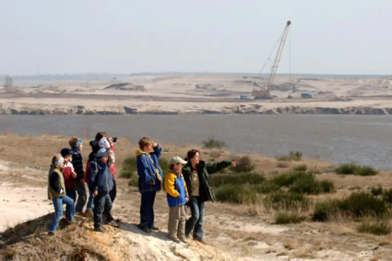 stillgelegte-Tagebau-Flaechen-um-diese-zu-renaturieren