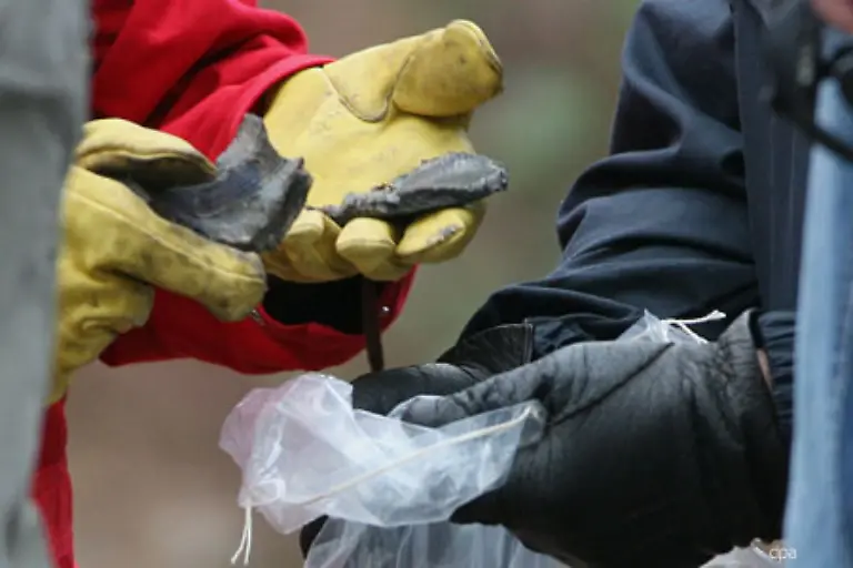 Experten-untersuchen-zur-Stunde