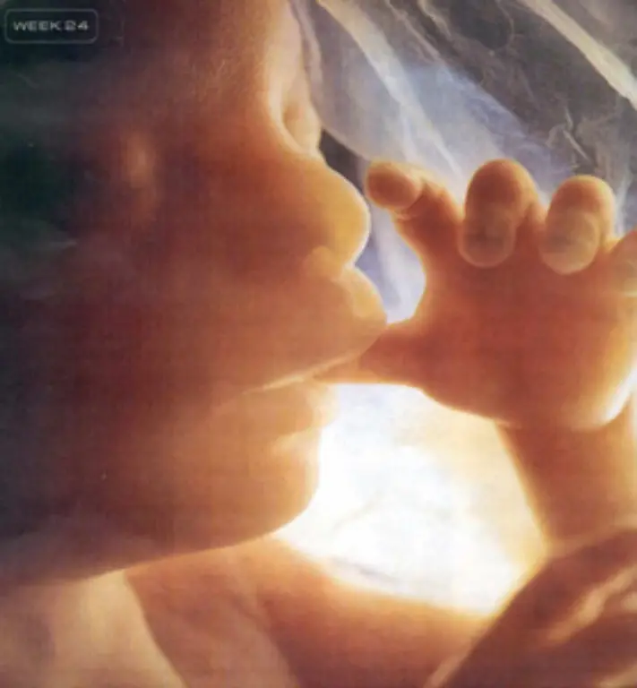 Schwangere-Frauen-die-Alkohol-trinken-geben-diesen-direkt-an-das-ungeborene-Kind-weiter-Schaedigungen-an-Koerper-und-Geist-koennen-nicht-wieder-rueckgaengig-gemacht-werden