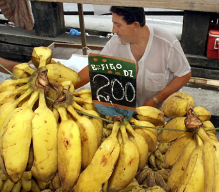 sogar-in-einer-reifen-Banane-sind-geringe-Mengen-von-Alkohol-enthalten-die-jedoch-ohne-schaedliche-Wirkungen-auf-den-menschlichen-Organismus-sind