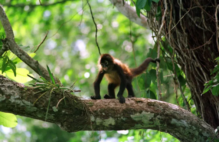 eine-reiche-Tier-und-Pflanzenwelt