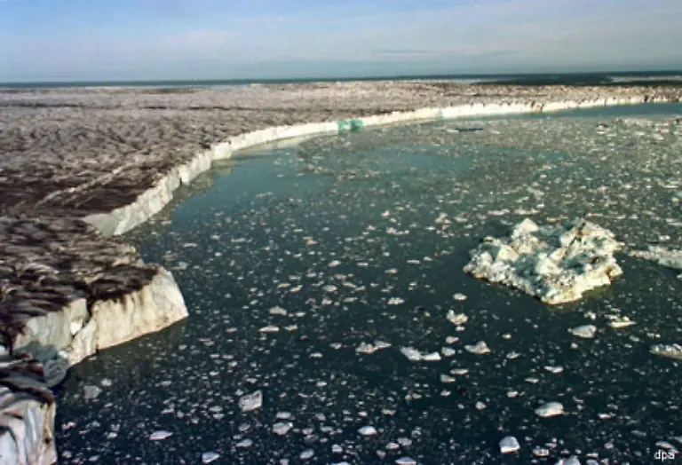 Laut-Greenpeace-wird-sich-dieser-Prozess-in-den-naechsten-30-Jahren-noch-beschleunigen
