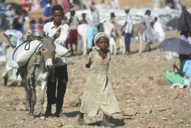 Im-ostafrikanischen-Eritrea-regiert-die-Volksfront-fuer-Demokratie-und-Gerechtigkeit-PFDJ-Aber-von-Demokratie-ist-dort-nicht-viel-zu-spueren-Organisationen-beklagen-eine-massive-Einschraenkung-der-Pressefreiheit