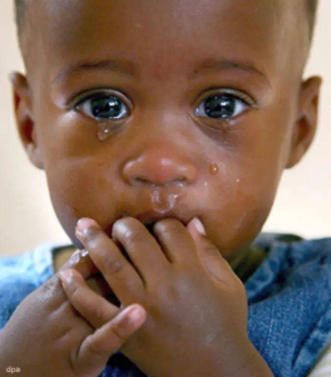 Zwei-Millionen-Menschen-sind-in-Folge-des-Virus-gestorben-darunter-zahlreiche-Kinder-die-in-Afrika-suedlich-der-Sahara-leben-In-diesen-Laendern-sind-70-Prozent-der-HIV-Infizierten-zu-Hause