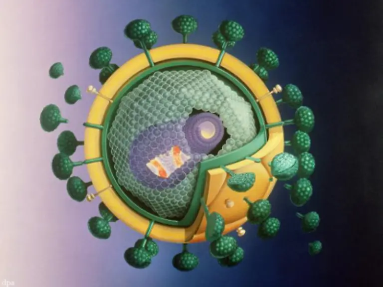 Im-Vergleich-zu-anderen-Krankheitserregern-gilt-HIV-als-schwer-uebertragbar-Eine-Infektion-ist-nur-moeglich-wenn-Koerperfluessigkeiten-wie-Samen-Scheidenfluessigkeit-Blut-oder-Blutspuren-die-eine-genuegend-grosse-Menge-HI-Viren-enthalten-ausgetauscht-werden