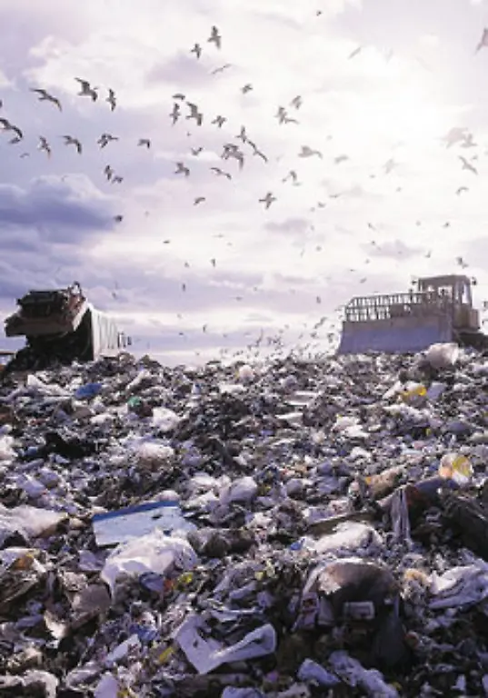 Die-Silbernachfrage-koennte-demnach-in-Zukunft-kraeftig-steigen-Wuerden-alle-Waren-des-Gruenen-Punktes-mit-einem-RFID-Chip-versehen-stiege-allein-der-deutsche-Silberverbrauch-um-70-Prozent