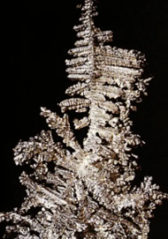 Weitere-40-Mio-Unzen-koennten-spezielle-Mikrofiches-fuer-die-Langzeitspeicherung-von-Datenbestaenden-bringen-Durch-den-hohen-Silbergehalt-sind-sie-nahezu-unzerstoerbar-und-haben-eine-garantierte-Lebensdauer-von-ueber-100-Jahren