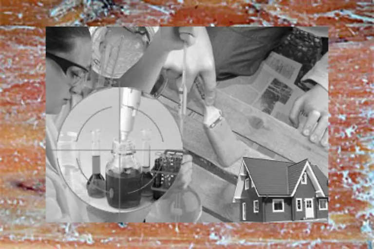 Silber-bietet-auch-einen-verbesserten-Schutz-gegen-Pilzbefall-Setzt-sich-der-Holzschutz-mittels-Silber-durch-erwarten-Experten-einen-jaehrlichen-Verbrauchsanstieg-um-80-Mio-Unzen