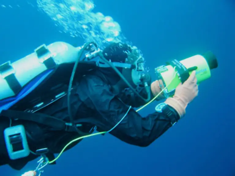 Das-internationale-Projekt-Census-of-Marine-Life-an-dem-ueber-2-000-Forscher-aus-80-Laendern-mitarbeiten-hat-sich-zum-Ziel-gesetzt-bis-zum-Jahr-2010-die-bislang-umfangreichste-Bestandsaufnahme-des-Lebens-im-Meer-aufzustellen