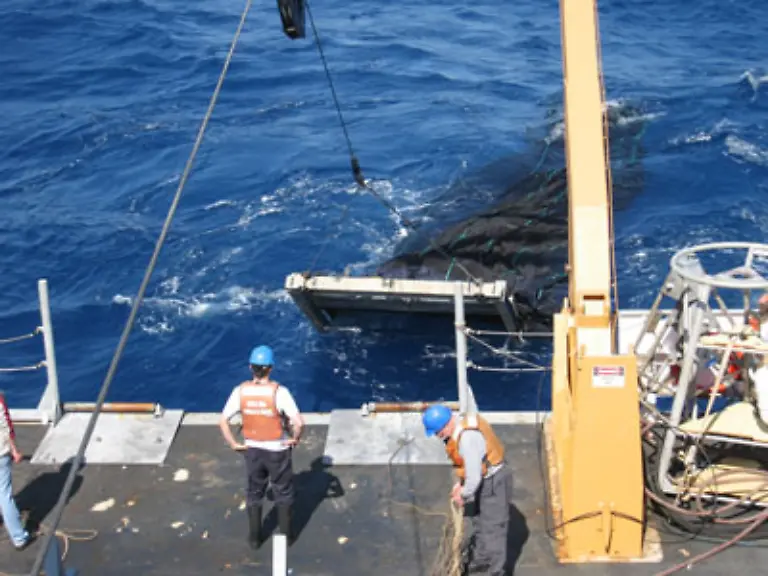 Eine-der-vielen-Expeditionen-im-Auftrag-des-Census-of-Marine-Life-zog-mit-einem-Spezialnetz-500-verschiedene-Arten-von-Zooplankton-aus-der-Sargossa-See-im-suedwestlichen-Atlantik