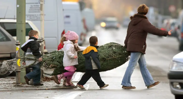 Kinder-moegen-ganz-sicher-keine-Imitate-egal-ob-aus-Plastik-oder-Buersten-Ein-Teil-des-Zaubers-von-Weihnachten-ist-der-grosse-Baum-aus-dem-Wald