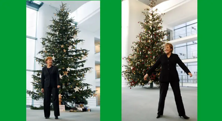 Wenn-der-Baum-sich-an-die-neue-Umgebung-gewoehnt-hat-durchschnittlich-nach-ein-bis-zwei-Tagen-darf-er-in-die-warme-Stube-Kurz-vor-dem-Aufstellen-am-Fuss-des-Baumes-eine-etwa-drei-Zentimeter-grosse-Scheibe-absaegen-dann-sind-die-Leitungsbahnen-wieder-schoen-frisch