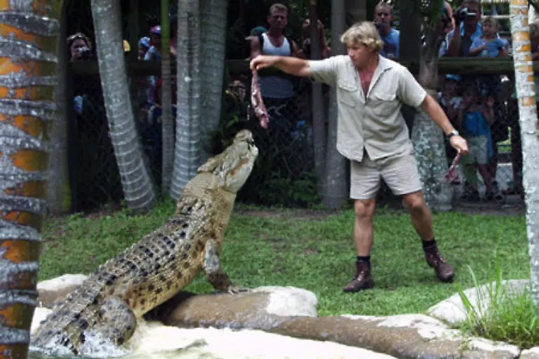 Ein-eher-kurzes-Leben-hatte-Steve-Irwin-Der-australische-TV-Krokodiljaeger-war-erst-44-Jahre-alt-als-er-bei-Dreharbeiten-durch-den-Stich-eines-Stachelrochens-ums-Leben-kam