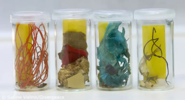 Nach-einer-Untersuchung-der-UN-Umweltorganisation-UNEP