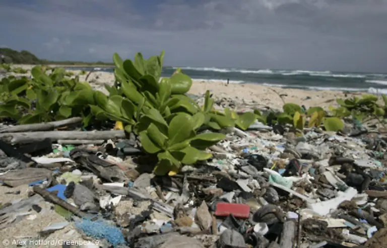 Die-Verschmutzung-der-Weltmeere-nimmt-besorgniserregende-Ausmasse-an
