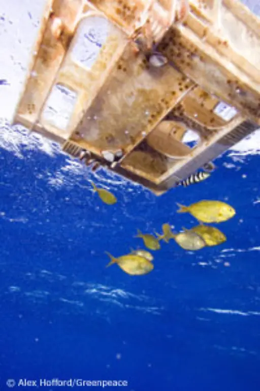 der-in-unseren-Meeren-treibt