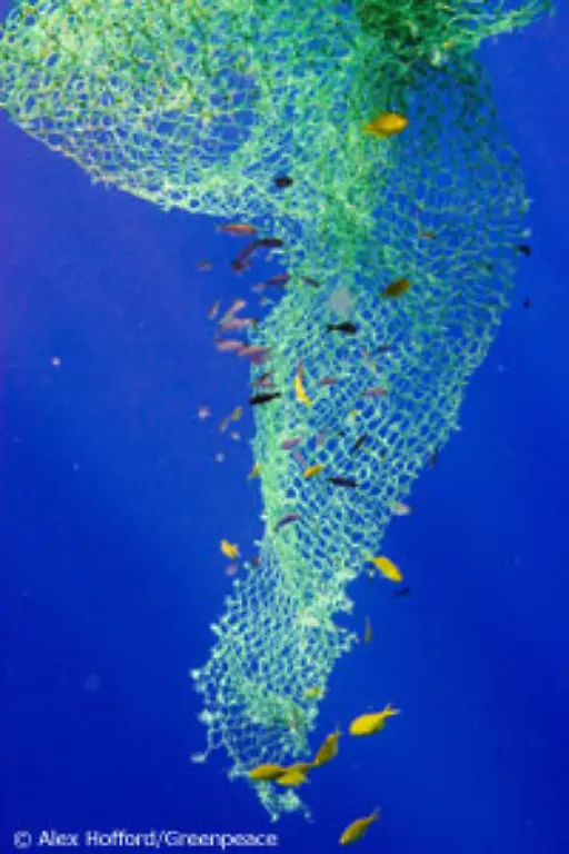 strangulieren-sich-mit-treibenden-Netzresten