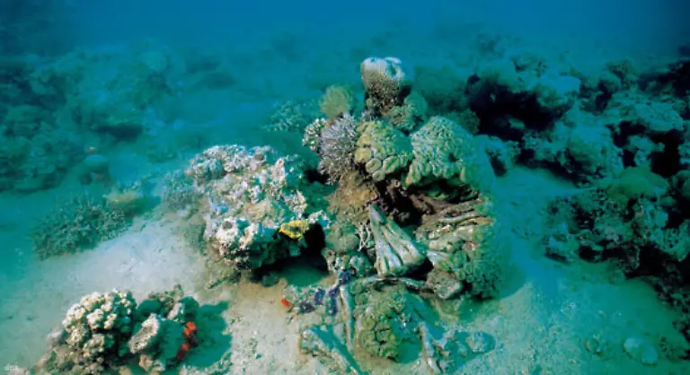 Auch-am-Meeresgrund-liegen-nach-Greenpeace-Untersuchungen