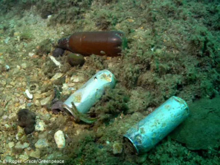 durchschnittlich-100-000-Muellteile-je-Quadratkilometer