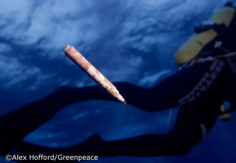 Wasserunloesliche-giftige-Substanzen-wie-DDT-oder-PCB-docken-zudem-im-Wasser-an-die-Oberflaeche-des-treibenden-Plastikmuells-an